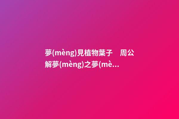 夢(mèng)見植物葉子　周公解夢(mèng)之夢(mèng)到植物葉子